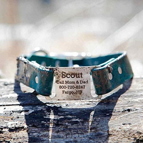 dogIDs Personalized Dog Collar – ScruffTag Custom Waterproof Biothane Dog Collar with Laser-Engraved Name, Durable & Odor-Resistant – USA Made | Lavender, 1 in x 16 in (Fits Neck Sizes 14-18 in)