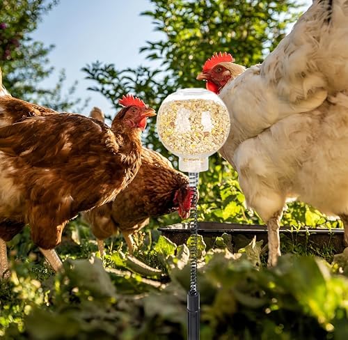 2Pcs Chicken Peck Toys, Chicken Enrichment Toys with Swing Feeder, Interactive Slow Feed Release Toy for Your Flock, Chick Treat Dispensers for Hens Poultry Duck Birds Parrots