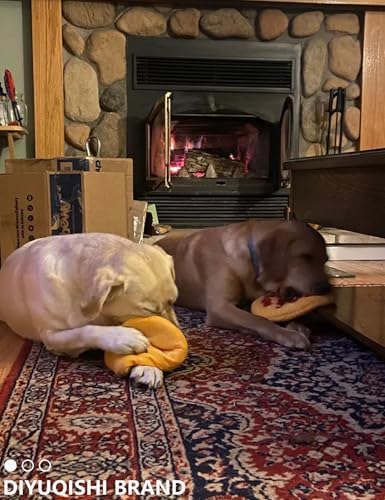 2 Pack Squeaky Plush Chew Toys Pizza Banana for Small Puppies
