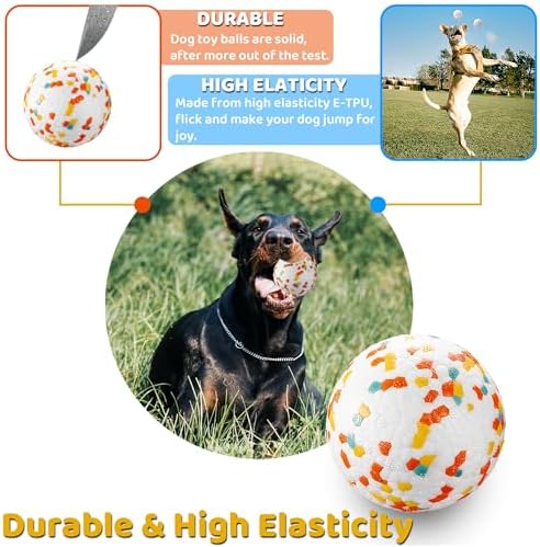 Dog Balls, Indestructible Dog Toy Ball for Aggressive Chewers, Durable High Elasticity Interactive Ball for Training Dog Catch and Fetch, Large Medium Small Dog and Puppies(2.5in, 1pcs)