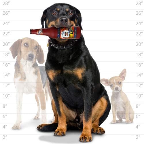 SILLY SQUEAKERS Tuffy 2 Pack Beer Bottle Dog Toy: Squeaky Dog Toy, Washable and Floats, Vinyl
