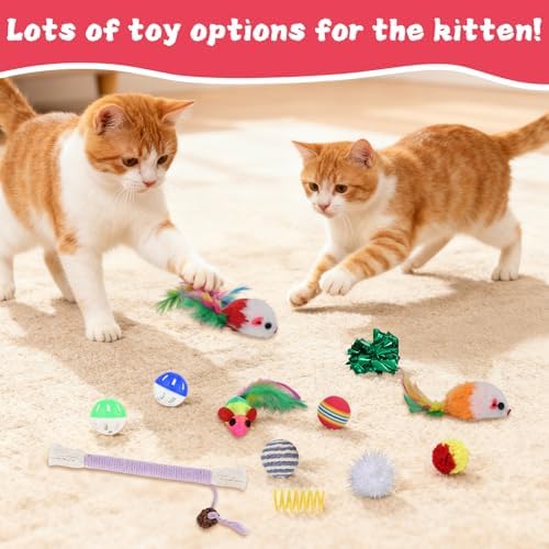 Foxtell Cat Ball Pit Include 229 PCS Interactive Cat Toys for Indoor Bored Self Play Enrichment Toy for Indoor Cats Interactive Fun and Exercise