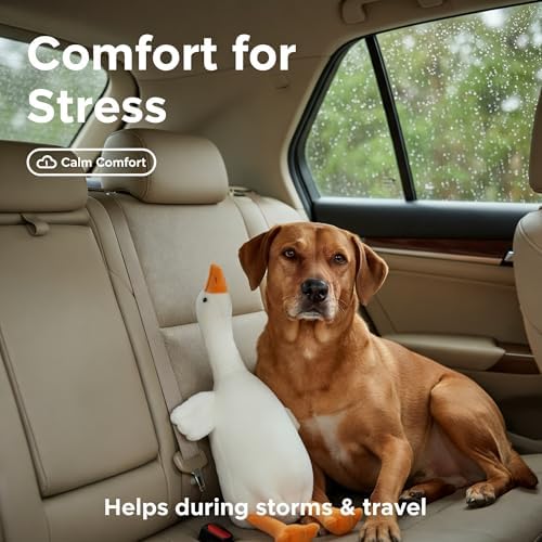 Plush Dog Toy for Large Dogs, 50cm White Goose, Interactive Pet Chew Toy for Training, Medium and Large Dogs