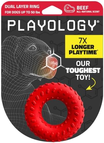 Playology Dual Layer Ring Dog Toy for Aggressive Chewers, Beef Scent