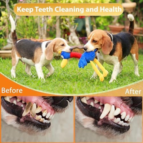 Letsmeet Pet Supplies Squeaky Dog Chew Toy with Soft Fabric Tough Interactive Tug of War Dog Toys to Keep Them Busy for Small,Medium,Large Breed