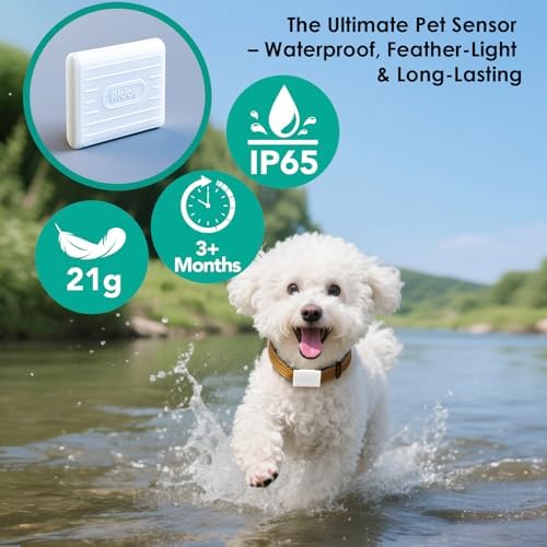 Automatic Dog Door for Door with Sensor Collar, Medium Electronic Dog Door with Anti-Pinch, Mains-Powered, Metal Frame&Panels, Timing Function(M)