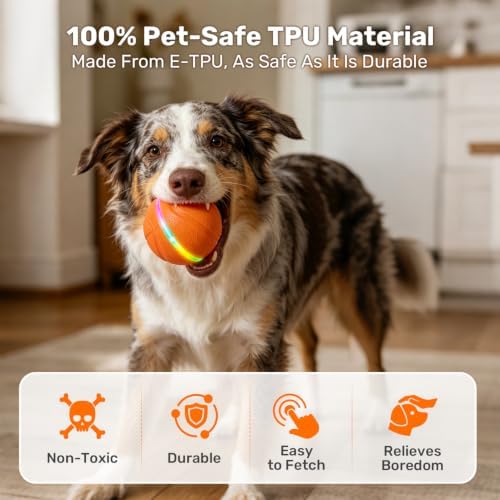 Niubya Interactive Dog Ball Toy, Activated Automatic Rolling Ball for Large Dogs, USB Rechargeable Pet Toy with LED Light