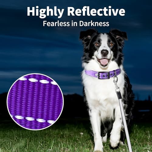 Segarty Reflective Thick Dog Collar for Large Dogs, Adjustable Wide Soft Comfortable Breathable Neoprene Padded Nylon Collar with Heavy Duty Metal Buckle for Large Medium Breeds (L, Purple)