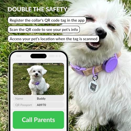 CollarDirect Airtag Nylon Dog Collar Silicon Holder Designed for Apple Airtag with QR Tags Personalized Dogs Puppies 5 Colors Black Pink Violet Green Orange (Violet, S)