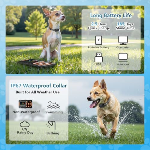Dog Invisible Fence System with Real-Time Distance Display, 1 Acre