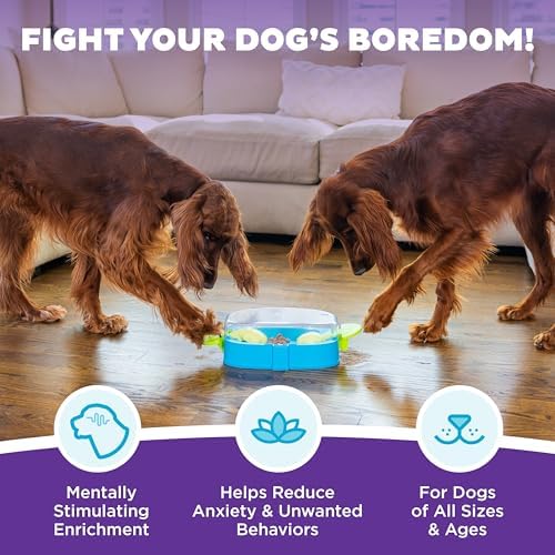 Outward Hound Nina Ottosson Paw N' Play Dog Toy Treat Puzzle, 15.4" | Level 2 Intermediate, Holds 1/3 Cup Kibble or Treats, Non-Slip Base, Easy Clean, Interactive Enrichment, Dogs & Puppies