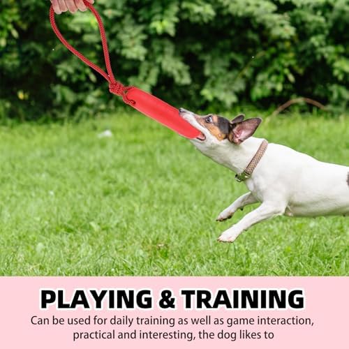 PUPTECK Interactive Dog Pool Toys Water Floating Toys Fetch Training Bumpers 2 Pack, Red & Black