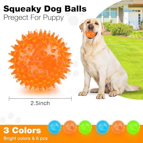 PUPTILY Puppy Toy 2.5” Squeaky Dog Balls Toys and Spikey Dog Ball for Aggressive Chewers for Small Dogs Dog Balls for Clean Teeth and Training （6 Pack