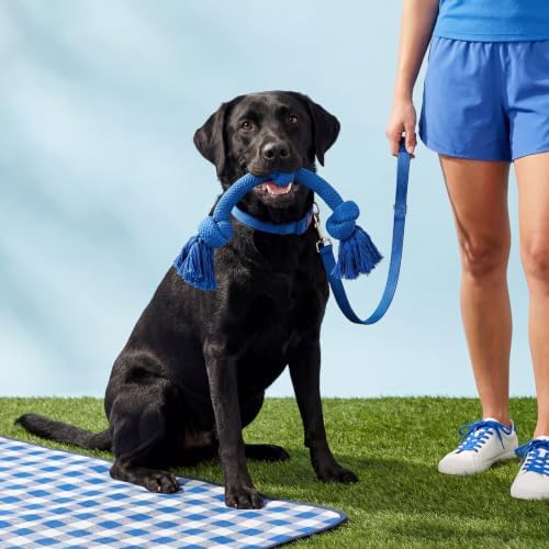 Playology Tug Rope Dog Toys for Large Breed Dogs - Jumbo, Hot Dog Scent