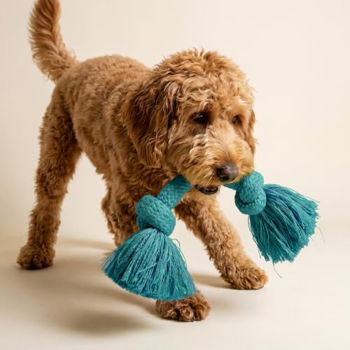 Playology Tug Rope Dog Toys for Medium Dogs - Medium, Peanut Butter Scent