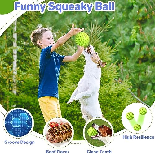 DISSKNIC Indestructible Squeaky Dog Balls Puppy Toys, Interactive Dog Toys for Small Dogs, Puppy Chew Toys for Teething and Relax, Dog Chew Toy Balls Small Dog Toys for Small Breed, Outdoor Dog Toys