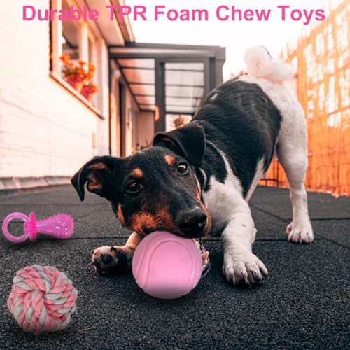 Beiker 20 Pack Pink Puppy Chew Toys, Dog Teething Toys for Puppies | Puppy Teething Rings and Ropes for Small Dogs, Rubber Toy Bundle for Puppy Busy, Cute Interactive Pet Balls for Small Breed