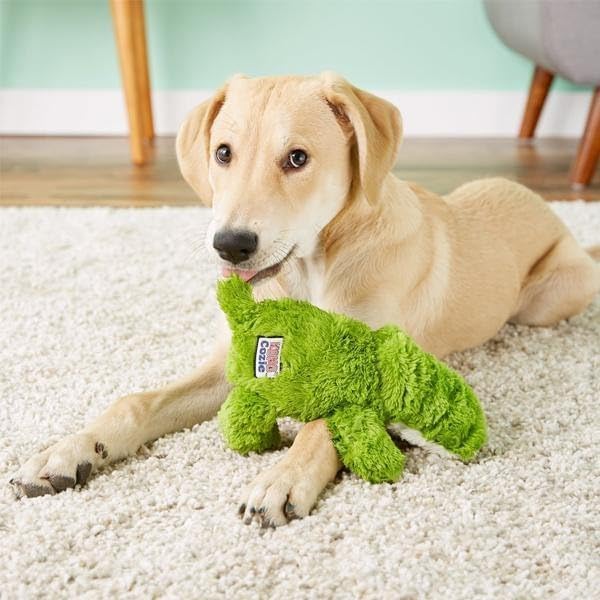 KONG Cozie Plush Dog Toys 2 Pack – Durable & Soft Squeaky Toys for Medium Dogs – Assorted Animal Characters (Ali The Alligator/Baily The Dog)