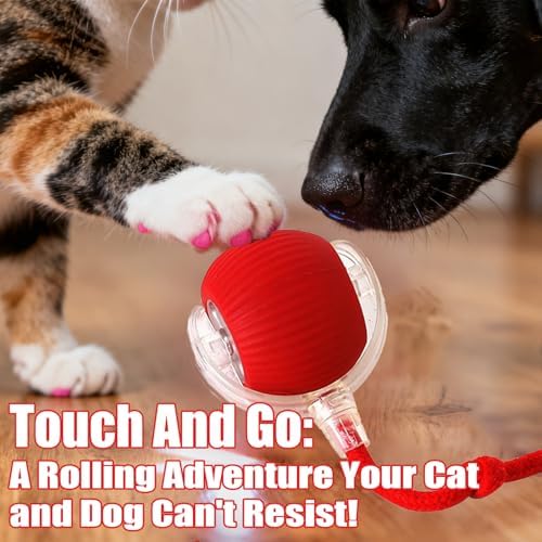 2025 New Interactive Dog Cat Toys Balls,Interactive Rolling Ball Cat Toy, 360° Smart Automatic Rolling Pet Ball, Fast Moving Toy for Dog and Cat(Red)