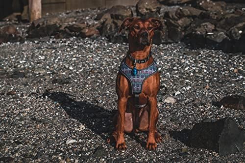 Terrain Dog Light for Dog Collar, Waterproof Light, Motion Activated Light, Blue