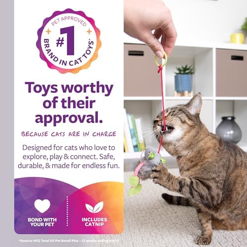 SmartyKat (3 Count) Bouncy Mouse Bungee Dangler Plush Cat Toys - Multi Color, 3 Count