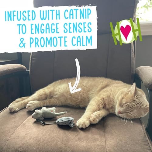 HuggleKats Cat Toys - Kitten Toys for Bored Indoor Cats, Perfect for Moving, Exercise, Biting & Chewing - Mightie Mice (3 Pack)