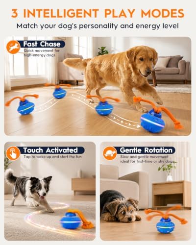 Xeuch Interactive Dog Ball Toy, ETPU Rotating Motion, Rechargeable | 3 Play Modes, Bird Chirping Sounds, 7 LED Lights, ETPU Shell, Rope Design, Rechargeable Battery, for Small and Medium Dogs