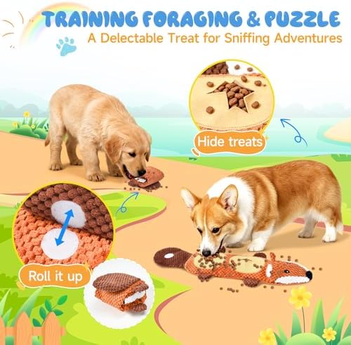 wodoca Dog Toys for Aggressive Chewers 2 Pack, No Stuffing Squeaky Chew Toy for Small Medium Breed, Puppy Teething Interactive Dog Toys to Keep Them Busy