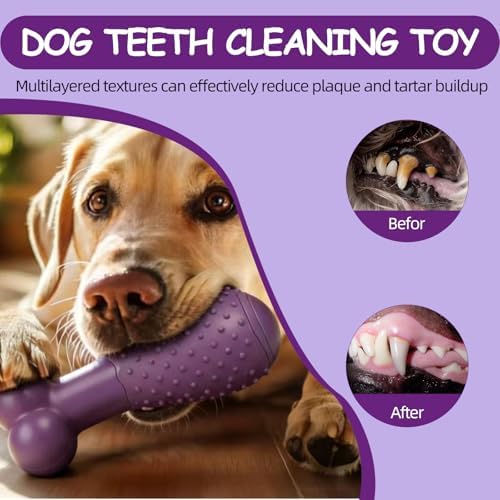 Natural Rubber Squeaky Dog Chew Toy for Aggressive Chewers