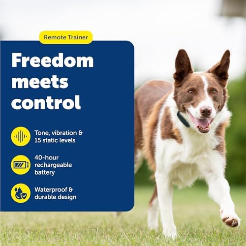 PetSafe 100 Yard Remote Trainer, Rechargeable, Waterproof, Tone / Vibration / 15 Levels of Static Stimulation for dogs over 8 lb.