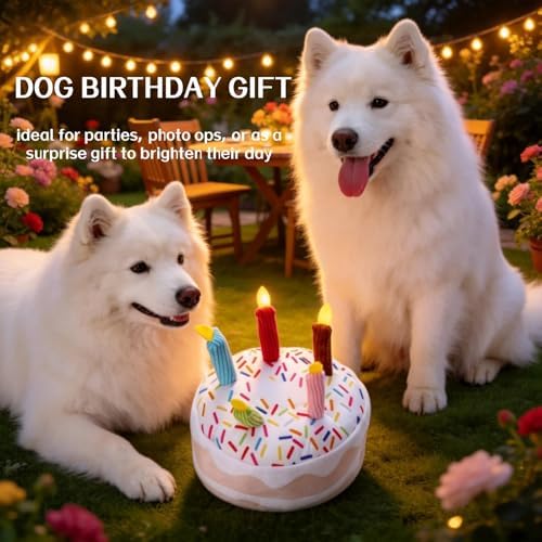 Birthday Cake Squeak Toys, 1 Pcs