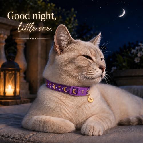 Breakaway Cat Collar with Bell for Kittens & Cats