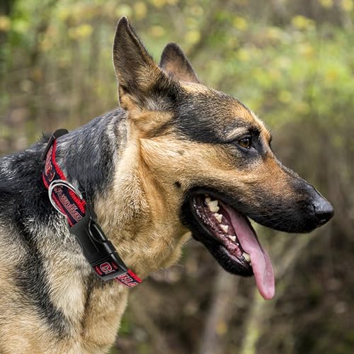 MLB Cleveland Guardians Licensed PET Collar, Medium - Heavy-Duty, Strong, and Durable Dog Collar. Available in 30 Baseball Teams and 4 Sizes