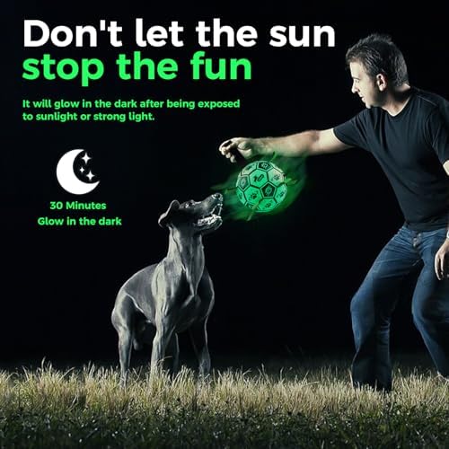 QDAN Glow in the Dark Dog Ball, Light Up Dog Toys, Luminous Glow Soccer Ball for Dogs, Outdoor Dog Toys, Doggy Water Toy, Puppy Birthday Gifts for Small Medium (6 Inch)