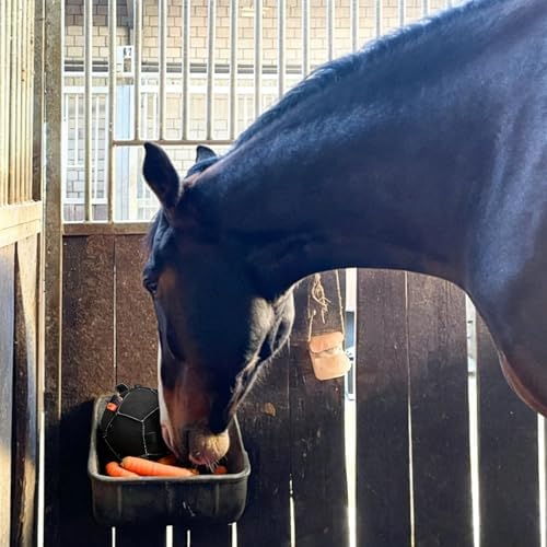 Large Capacity Equine Treat Dispenser Toy Stretch-Resistant Carrot Feeders