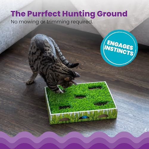 Catstages Grass Patch Hunting Box Cat Toy, Faux Grass & 3 Balls, 10" x 14"
