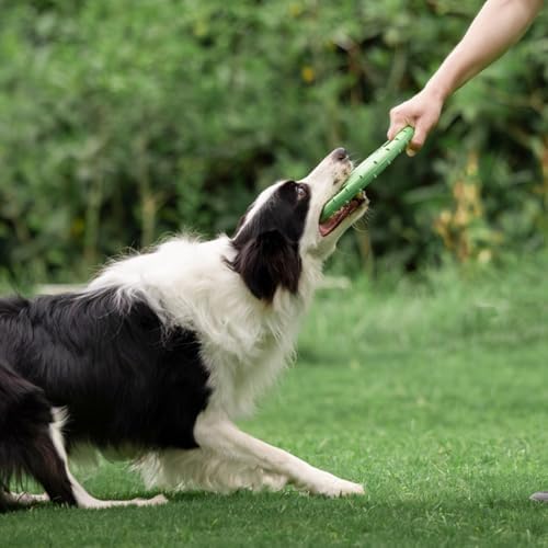Dog Soft Flying Discs Interactive Training Toy (Green)