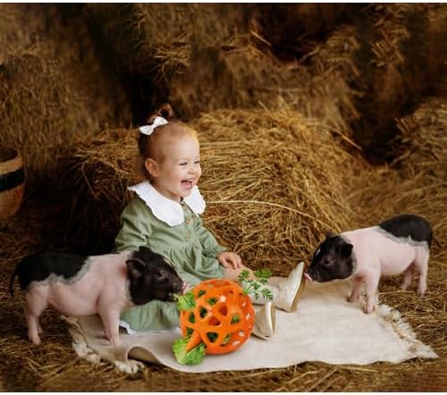 Hanging Treat Dispenser Ball and Chew Toy for Mini Pigs