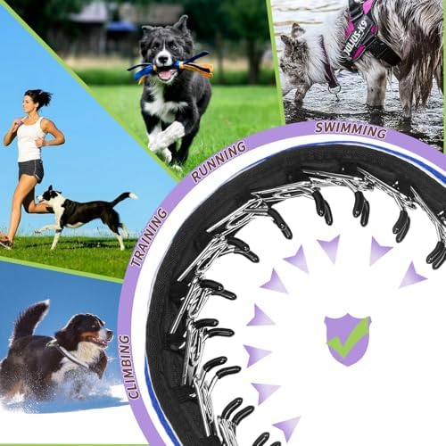 Martingale No Pull Dog Collar for Large Medium Dogs Training Walking, Heavy Duty Nylon Reflective Adjustable Anti Pull Slip Collar with Buckle L Blue