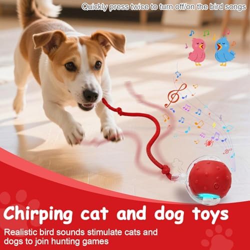 Interactive Cat Toys Smart Ball for Cats & Dogs! Now with 2 Rapid Tails. Features: 360°Auto-Rolling, Motion Activation& Bird Sounds. Perfect for Indoor Pet Exercise & Fun. (Blue)