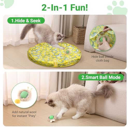 Cat Toys for Indoor Cats, Interactive Cat Toy for Adult Cats