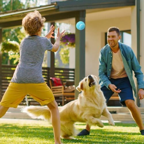 PrimePets Dog Tennis Balls 3 Pack, 2.5” Durable High-Bounce Tennis Balls for Dogs, Squeaky Dog Ball for Fetch & Training, Outdoor Interactive Dog Toy Ball for Small and Medium Dogs