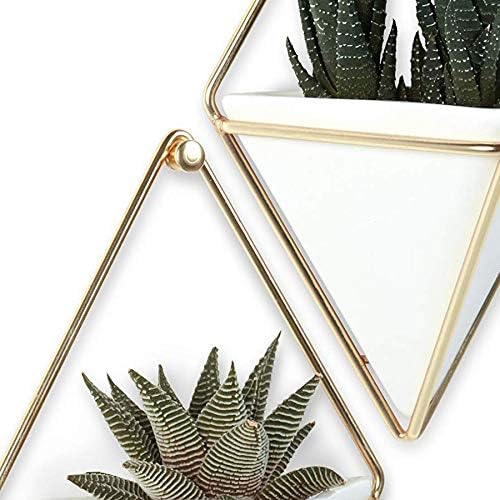 Umbra Trigg Hanging Planter for Small Plants, Set of 2, Small, White/Brass