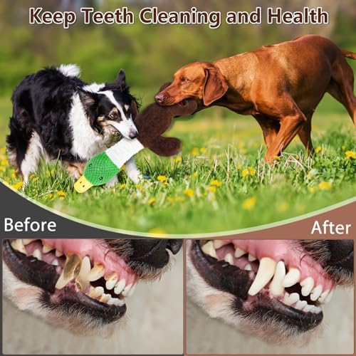 Drmstow Plush Dog Toys for Large Dogs, Duck Stuffed Squeaky Dog Chew Toy with Crinkle Paper, Interactive Pull Puppy Toys - Tug of War Dog Toys for Big Medium Samll Dog