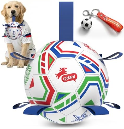 QDAN World Cup Soccer Ball for Dog, Large Herding Ball for 30-90 lbs Dogs