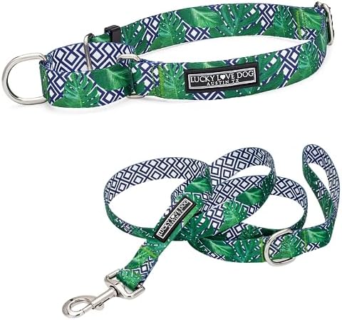 Lucky Love Dog Martingale Collar & Leash Set No Slip – Blue Laguna, Medium
