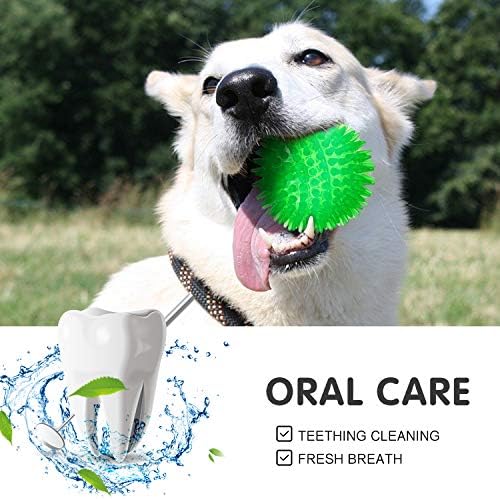 Squeaky Balls for Dogs Small, Fetch Balls Rubber 3 Pack Bright Colors