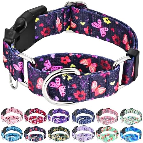 Martingale Collar for Dogs with Buckle No Pull, Purple Butterfly, S