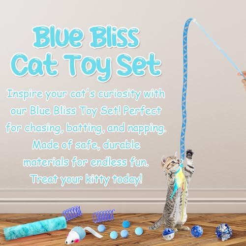 Foilswirl 24 Pcs Cat Toys Set Interactive Kitten Toys Pack, Blue