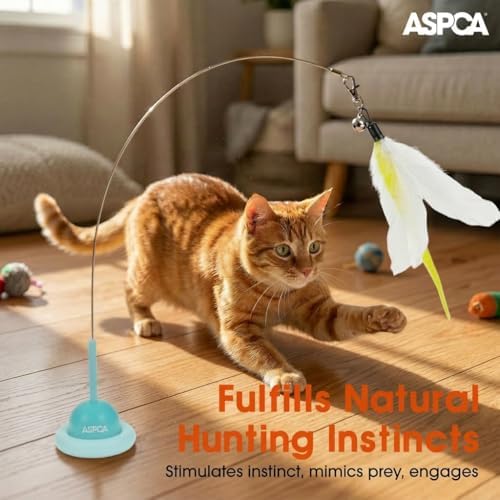 ASPCA Suction Cup Cat Toy Interactive Wand, Self Play Cat Toy for Indoor Cats, Attaches to Smooth Surfaces, Teaser Wand for Chasing, Batting & Enrichment, Blue